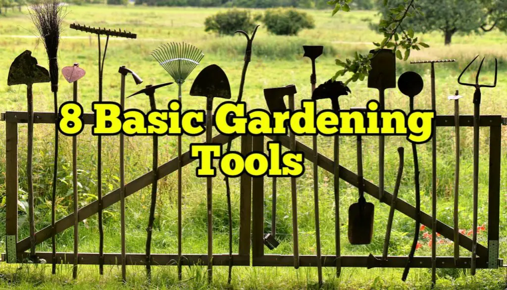 Basic Gardening Tools