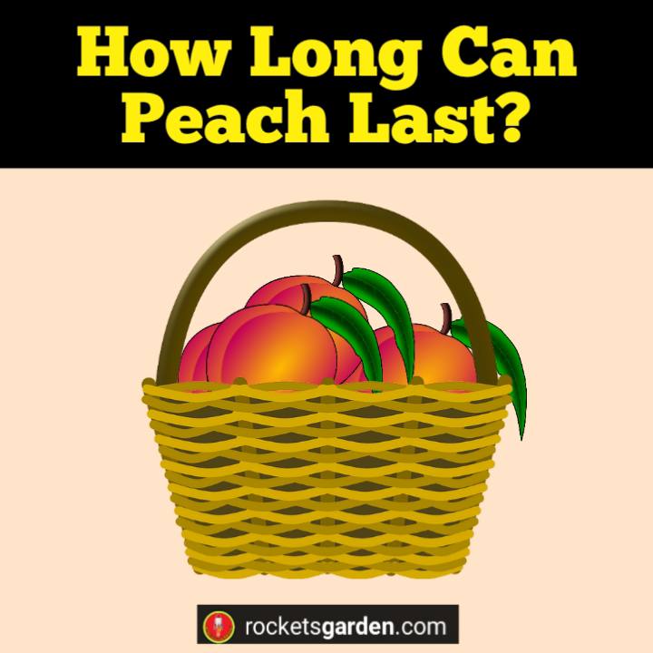 how long can peach last