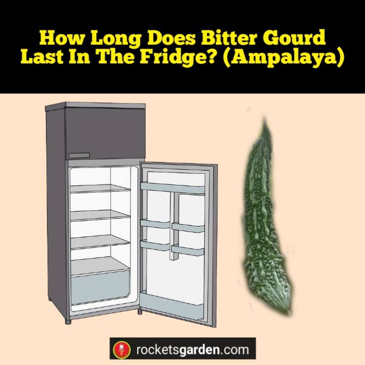 how long does bitter gourd last in the fridge