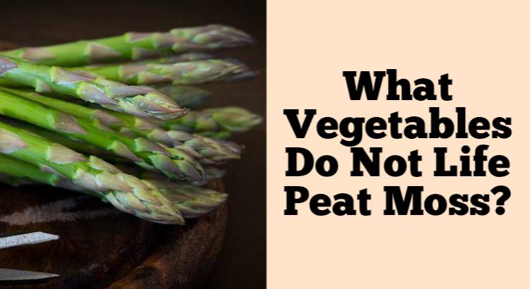 what vegetables do not like peat moss