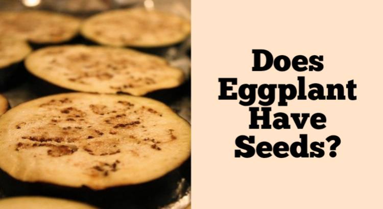 does eggplant have seeds